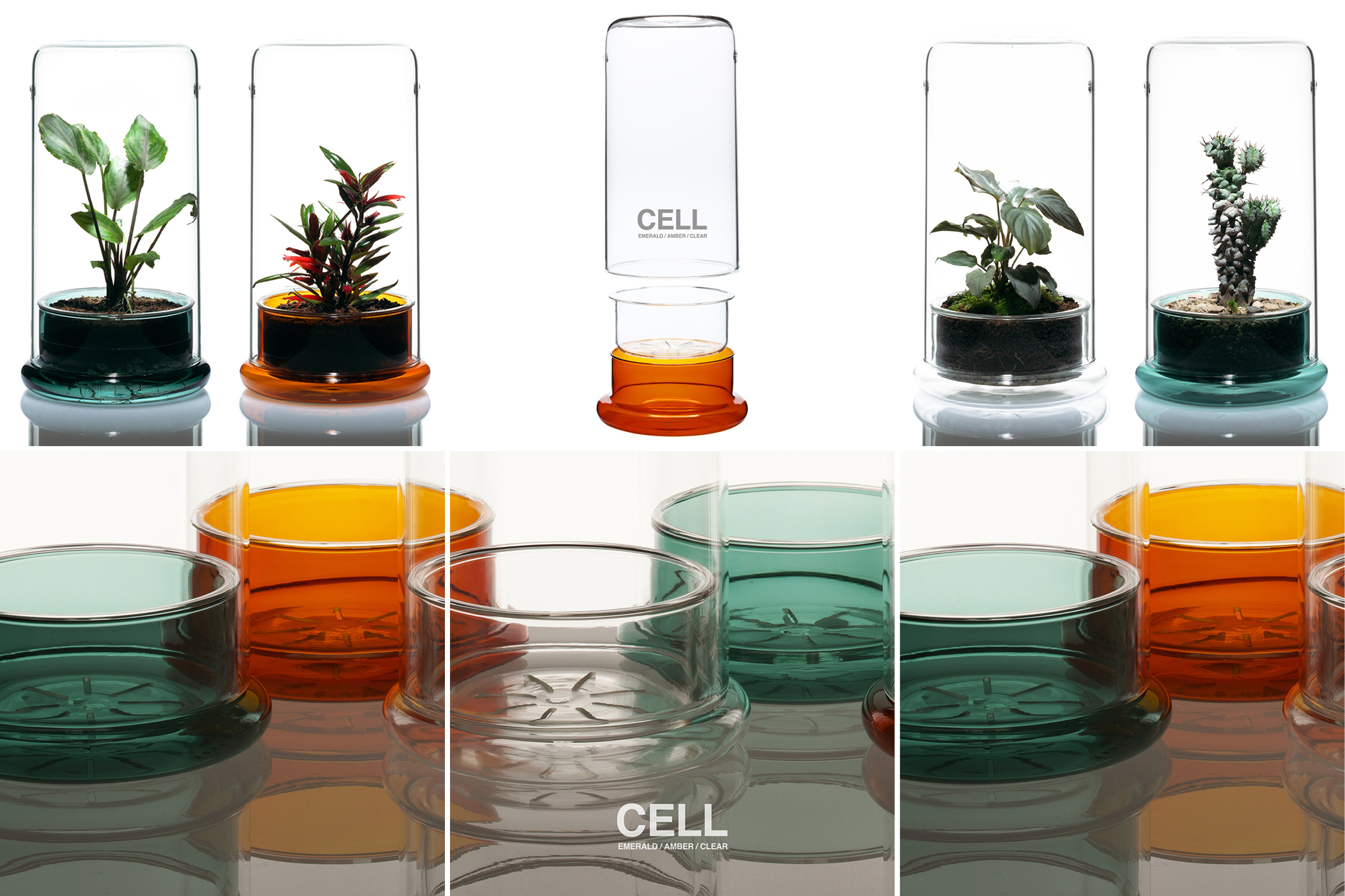 DOOA / CELL