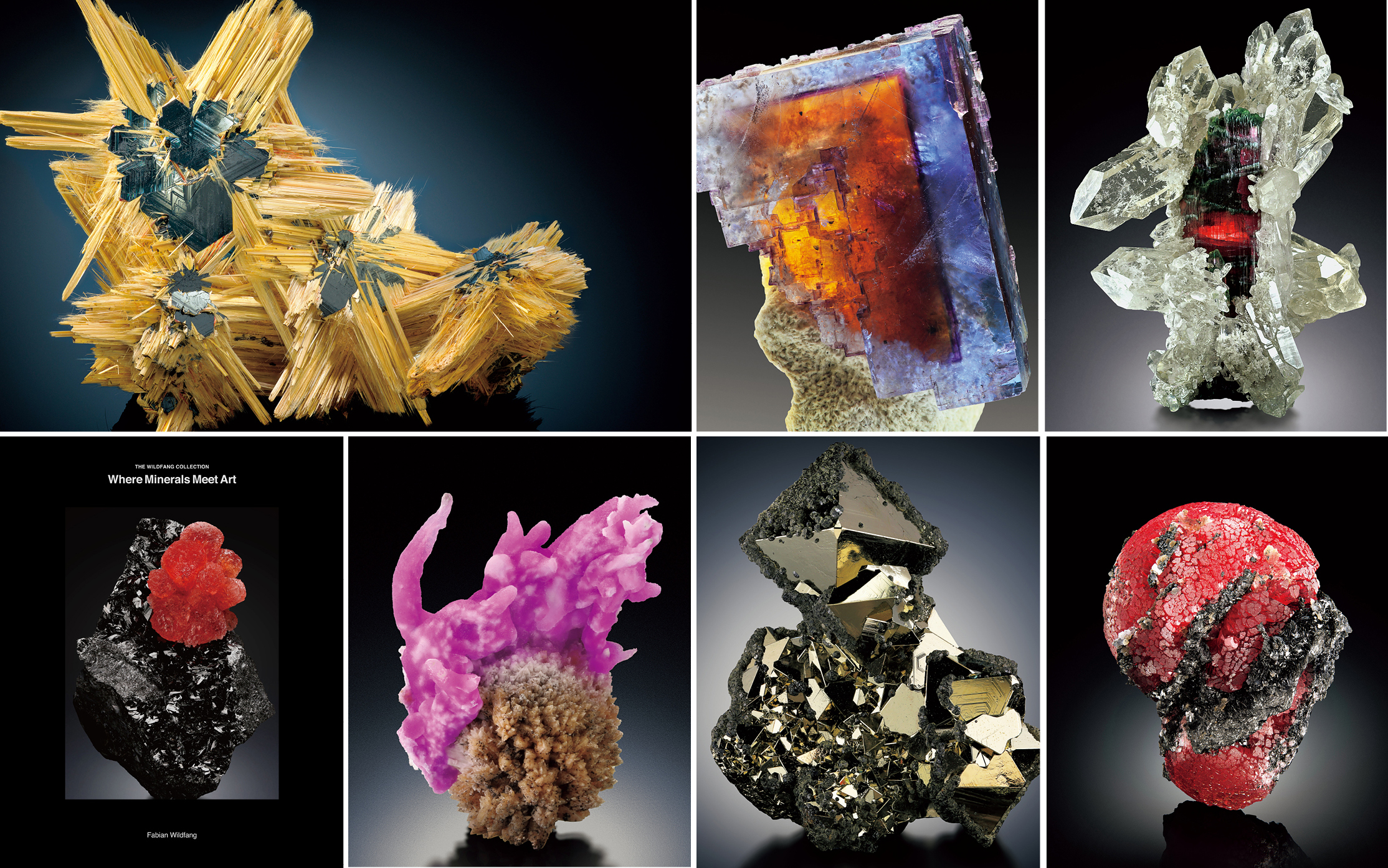 STRAIGHT BOOKS / The Wildfang Collection : Where Minerals Meet Art